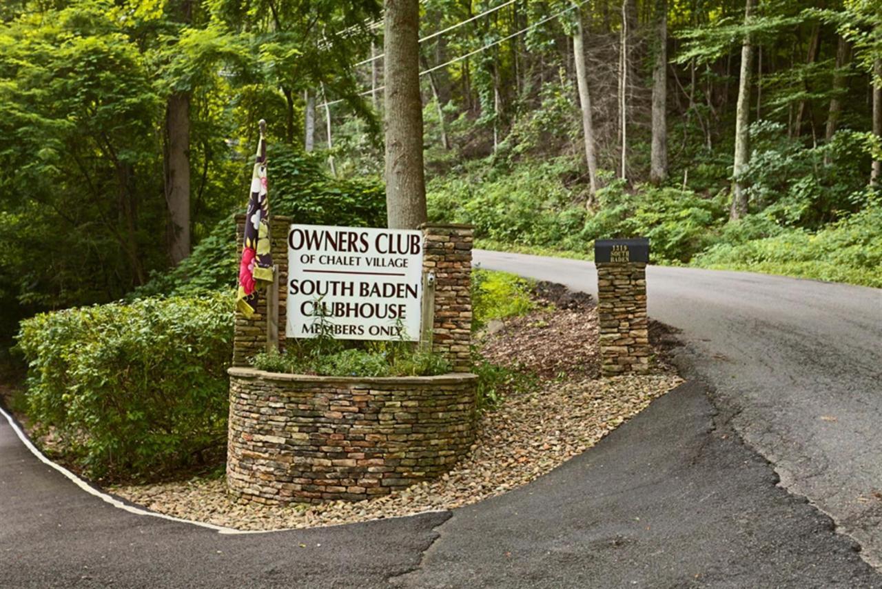 Mountain Springs Chalet جاتلينبرج المظهر الخارجي الصورة