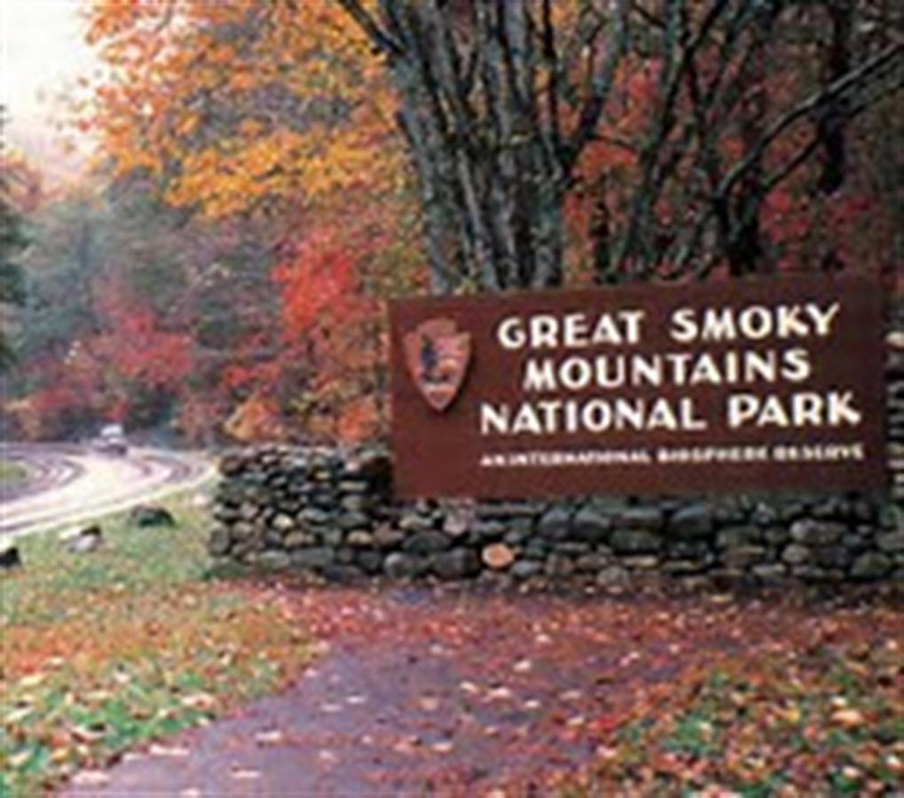 Mountain Springs Chalet جاتلينبرج المظهر الخارجي الصورة