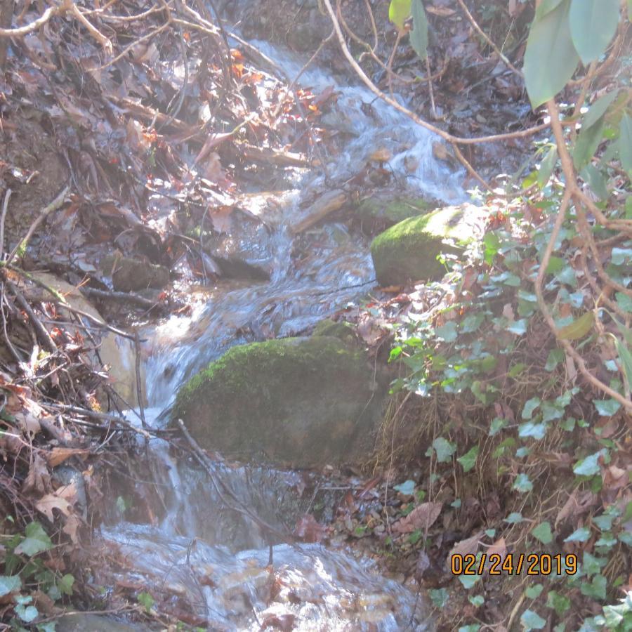 Mountain Springs Chalet جاتلينبرج المظهر الخارجي الصورة