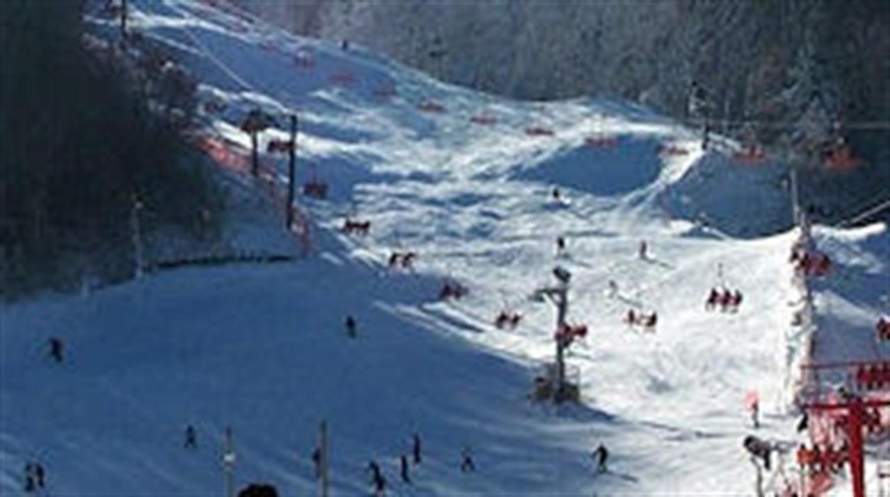 Mountain Springs Chalet جاتلينبرج المظهر الخارجي الصورة