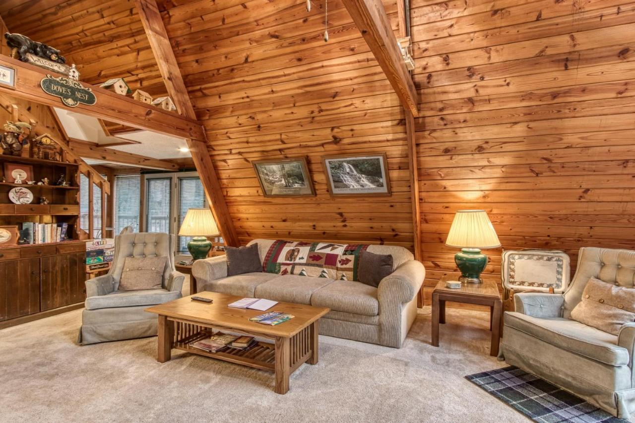 Mountain Springs Chalet جاتلينبرج المظهر الخارجي الصورة