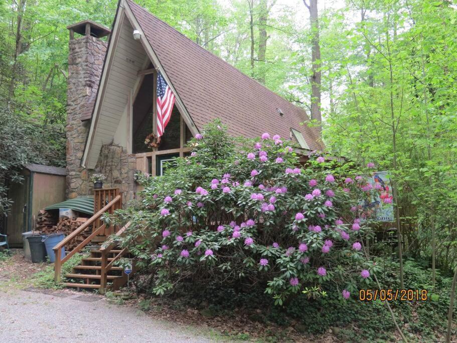 Mountain Springs Chalet جاتلينبرج المظهر الخارجي الصورة
