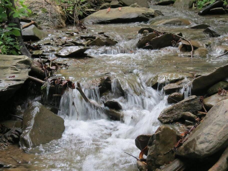 Mountain Springs Chalet جاتلينبرج المظهر الخارجي الصورة