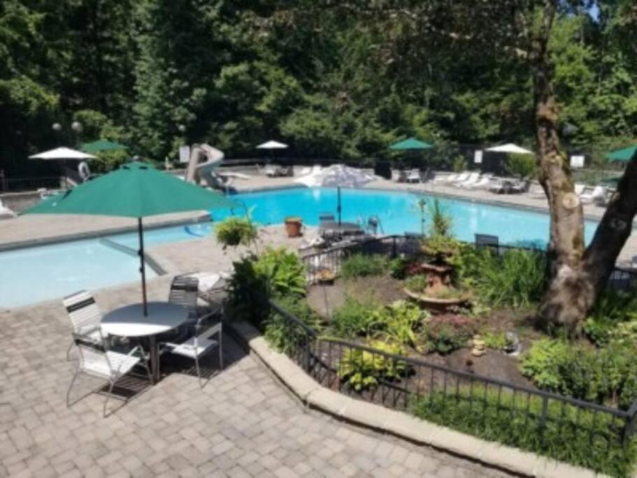 Mountain Springs Chalet جاتلينبرج المظهر الخارجي الصورة