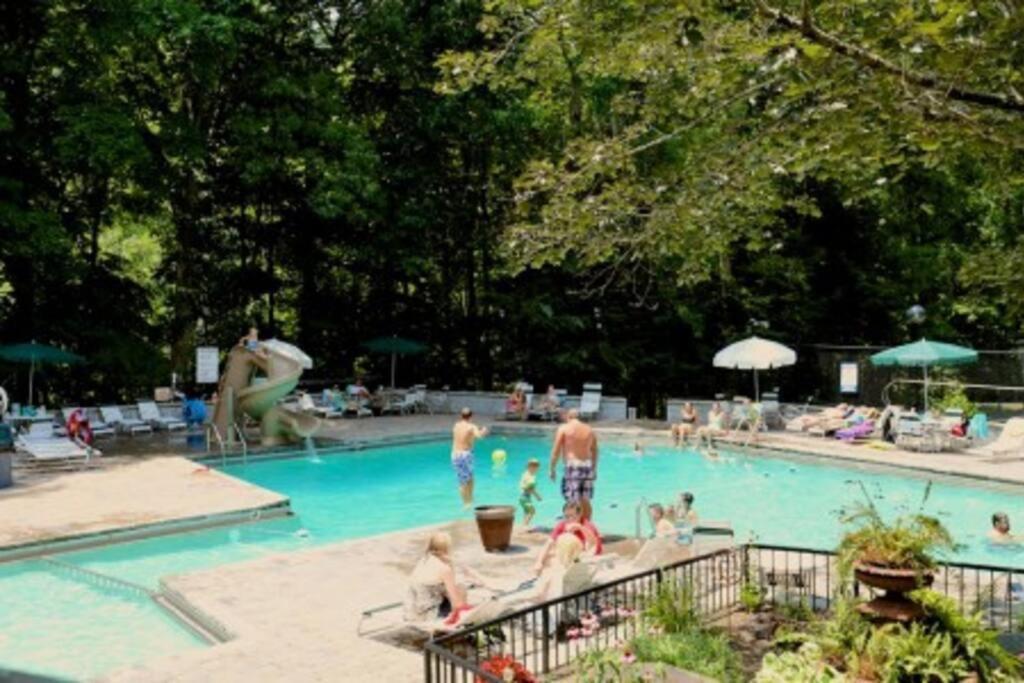Mountain Springs Chalet جاتلينبرج المظهر الخارجي الصورة